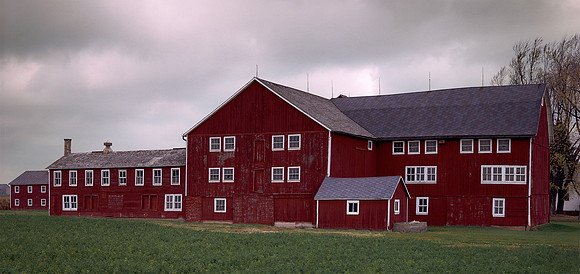 The Poultry Barn