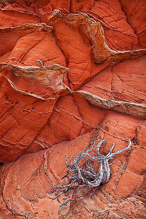 Red Sandstone - One