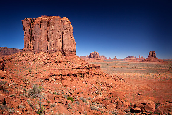 Mesa View